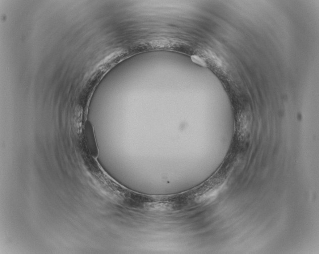 X0000088210356200706051303