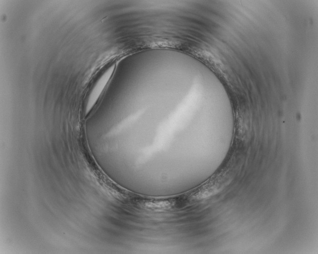 X0000088210357200706051303