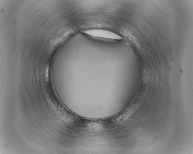 X0000088210358200706051303