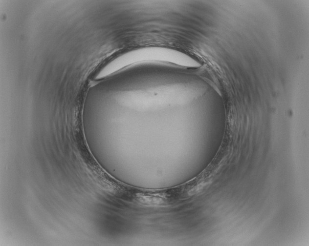 X0000088210359200706051303