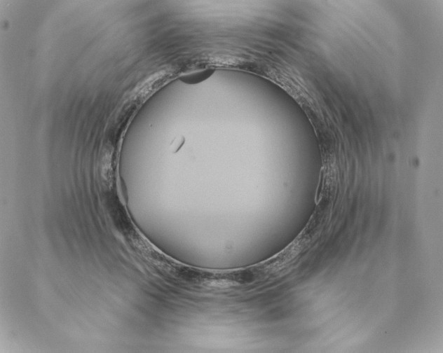 X0000088210360200706051303