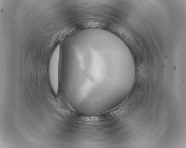 X0000088210361200706051303