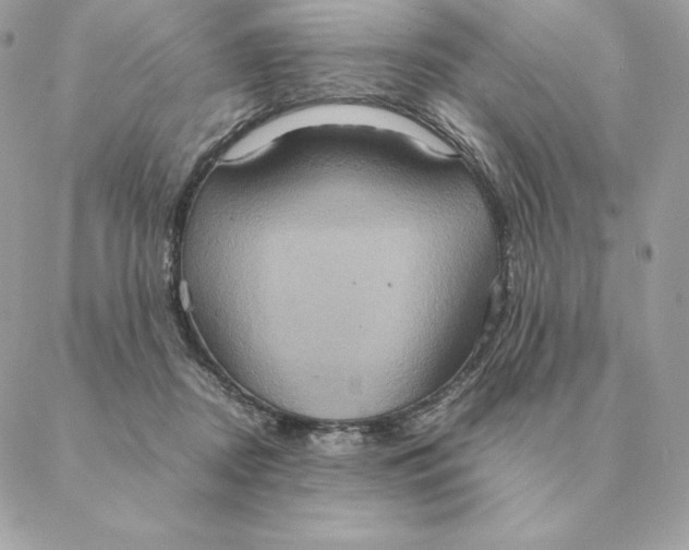 X0000088210362200706051303