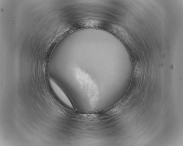 X0000088210363200706051303