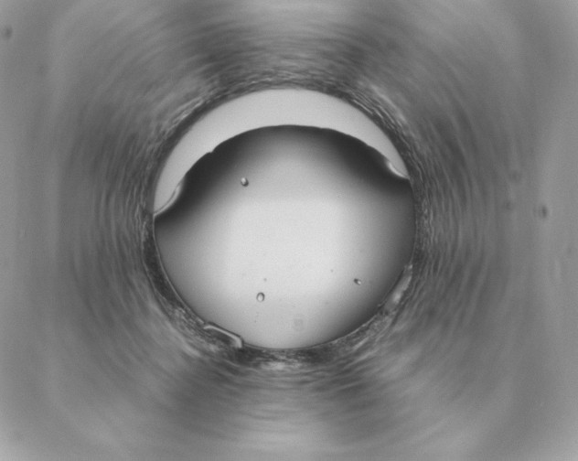 X0000088210364200706051303