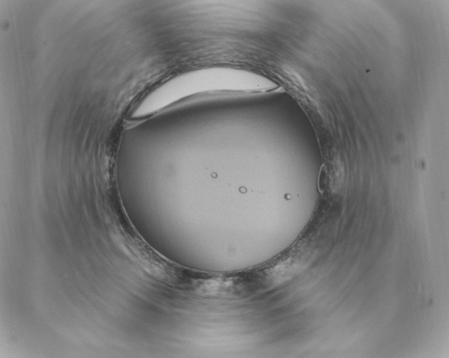 X0000088210366200706051303