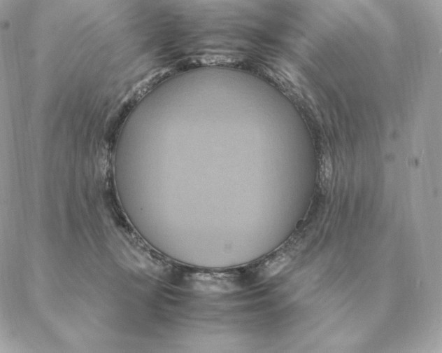 X0000088210367200706051303