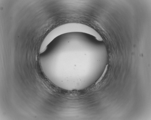 X0000088210368200706051303