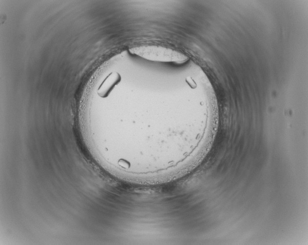 X0000088210370200706051303