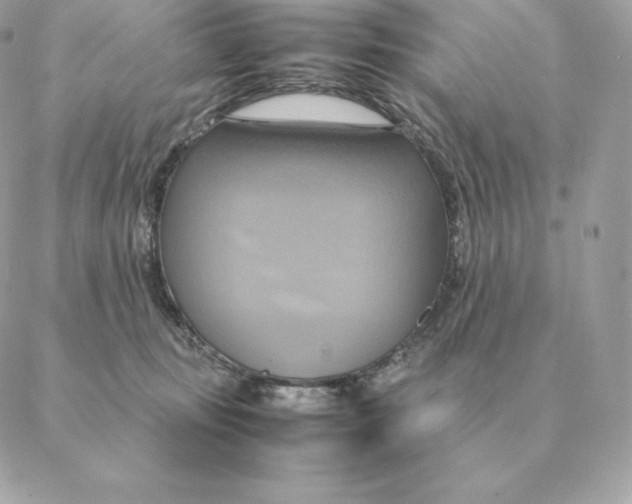 X0000088210371200706051303