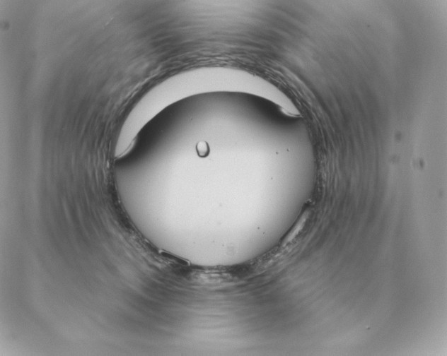 X0000088210372200706051303