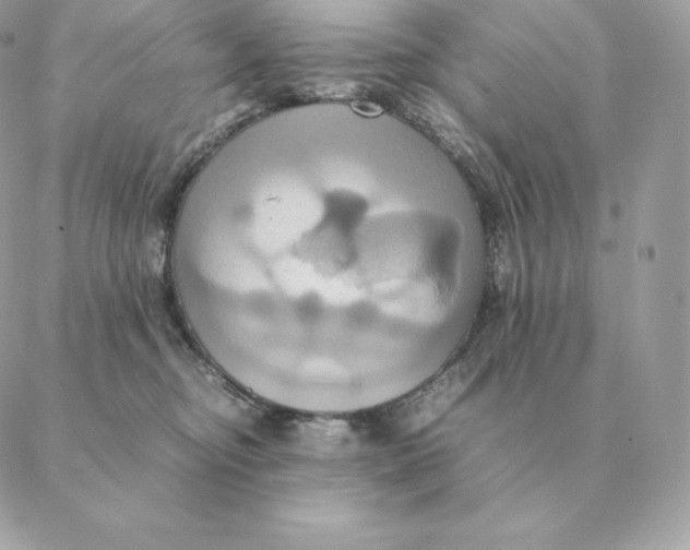 X0000088210374200706051303