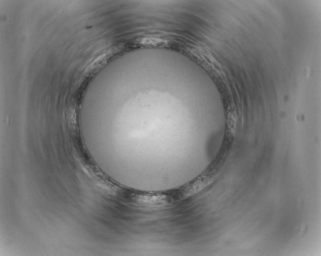 X0000088210375200706051303