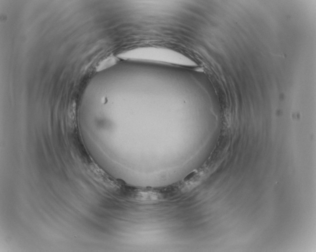 X0000088210376200706051303