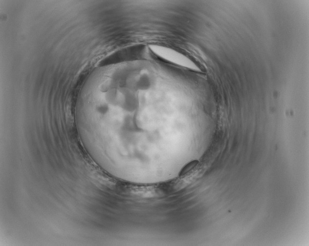 X0000088210377200706051303