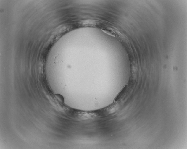 X0000088210379200706051303