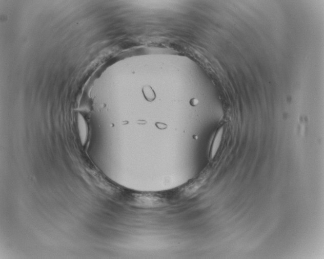 X0000088210380200706051303