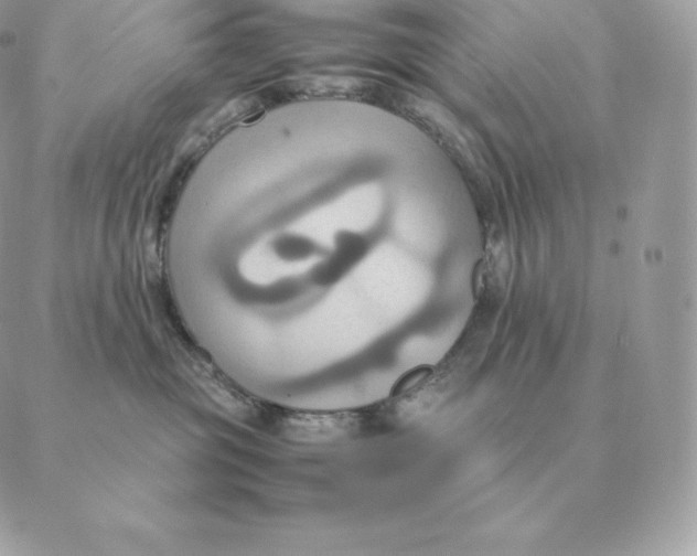 X0000088210381200706051303