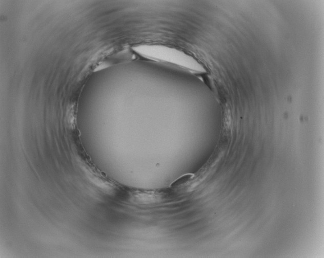 X0000088210383200706051303