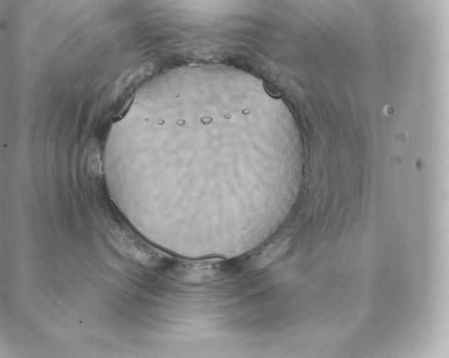 X0000088210384200706051303