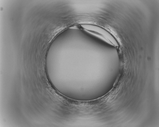 X0000088210385200706051302