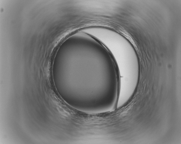 X0000088210387200706051302