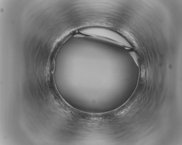 X0000088210388200706051302