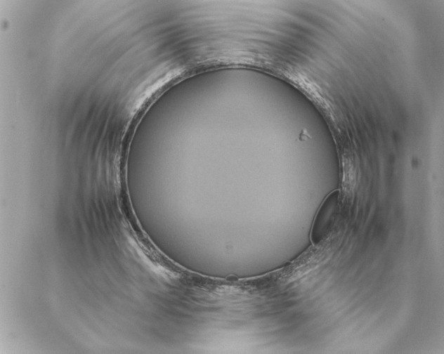 X0000088210390200706051302