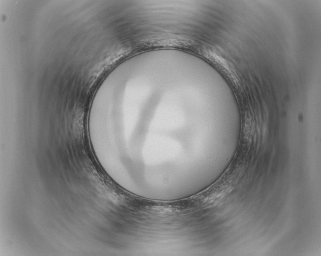 X0000088210394200706051302