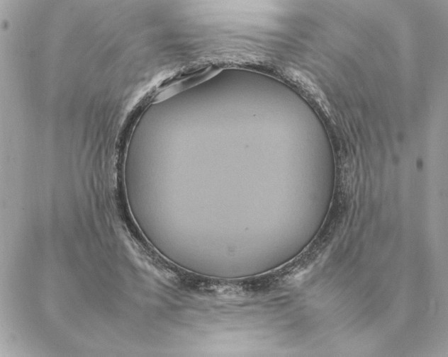 X0000088210395200706051302