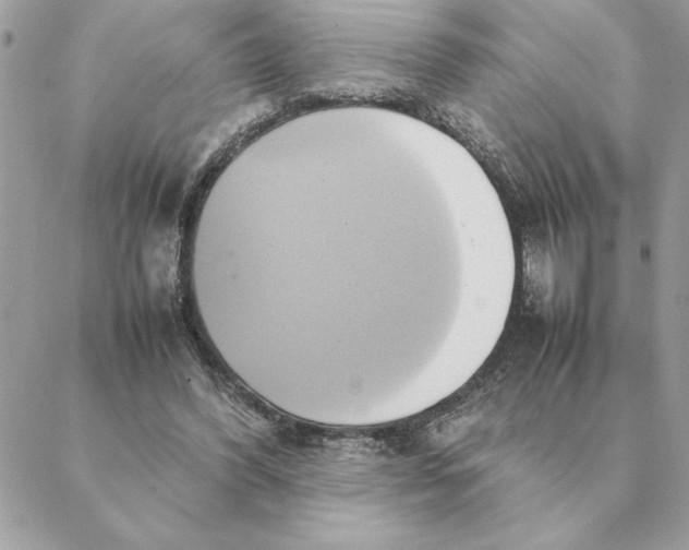 X0000088210396200706051302