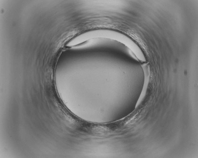 X0000088210397200706051302