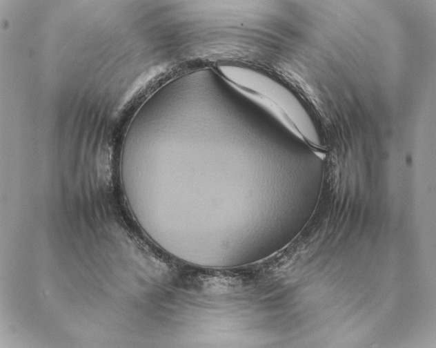 X0000088210400200706051302