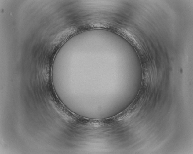 X0000088210402200706051302