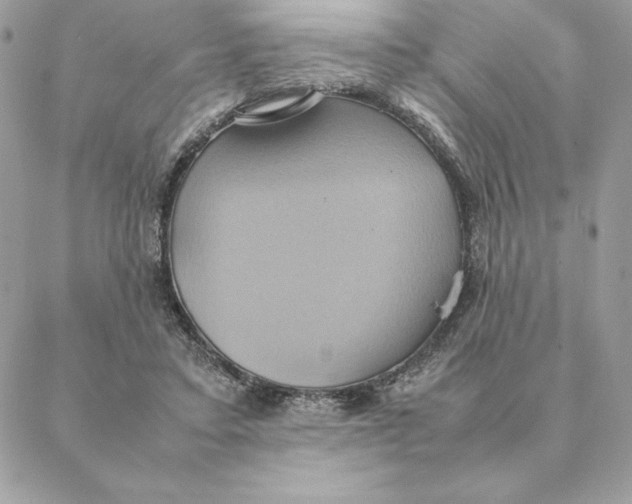 X0000088210403200706051302