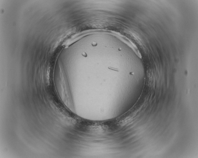 X0000088210404200706051302