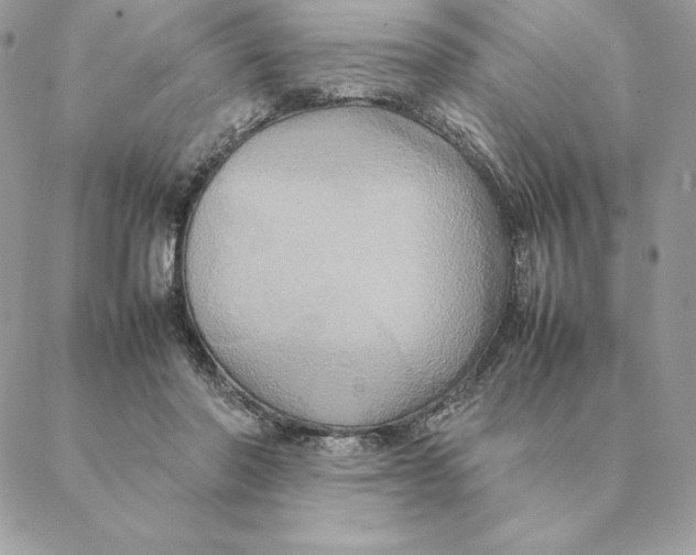 X0000088210406200706051302