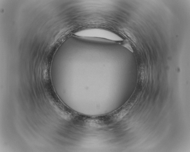 X0000088210408200706051302