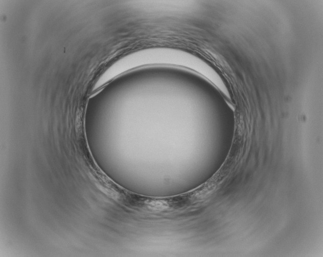 X0000088210409200706051302