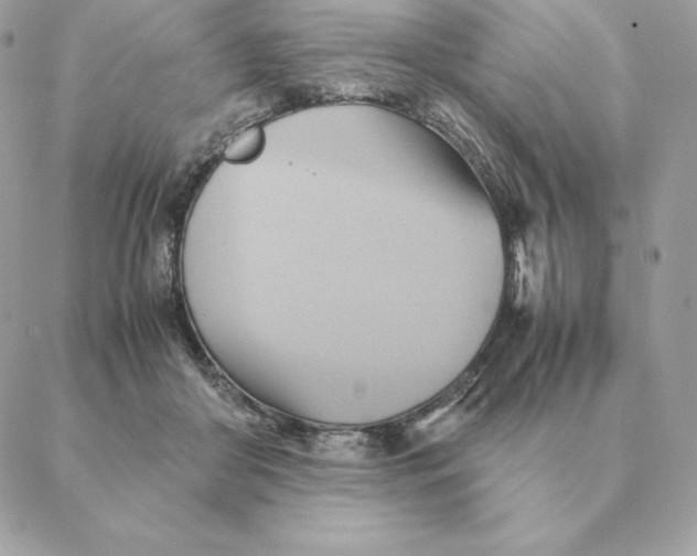 X0000088210410200706051302