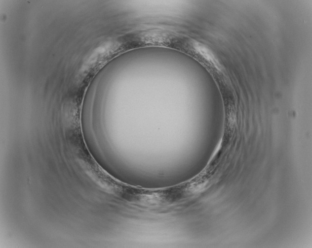 X0000088210411200706051302