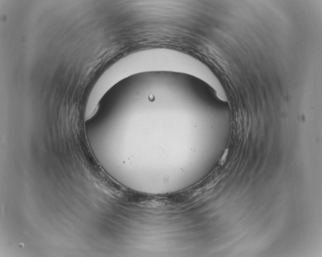 X0000088210412200706051302