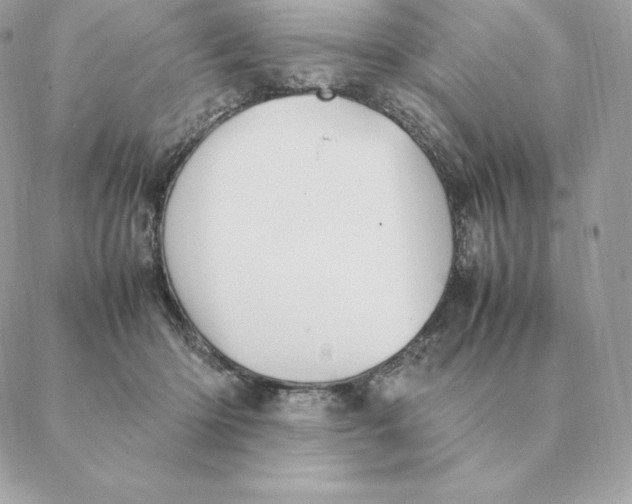 X0000088210414200706051302