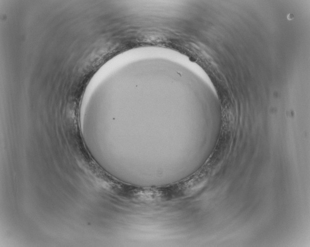 X0000088210415200706051302