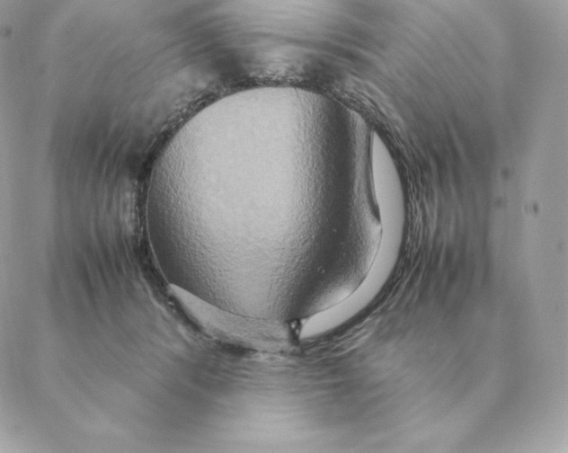 X0000088210416200706051302