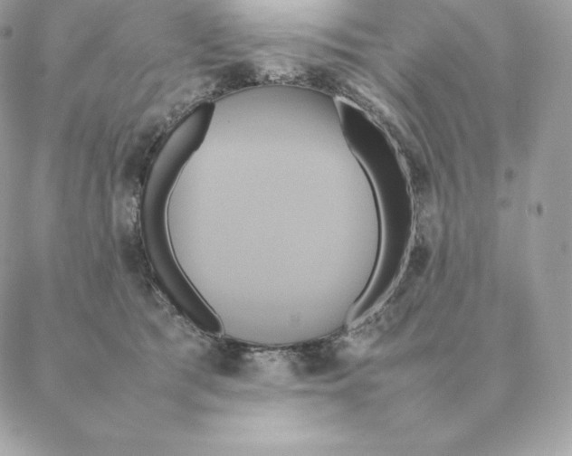 X0000088210417200706051302