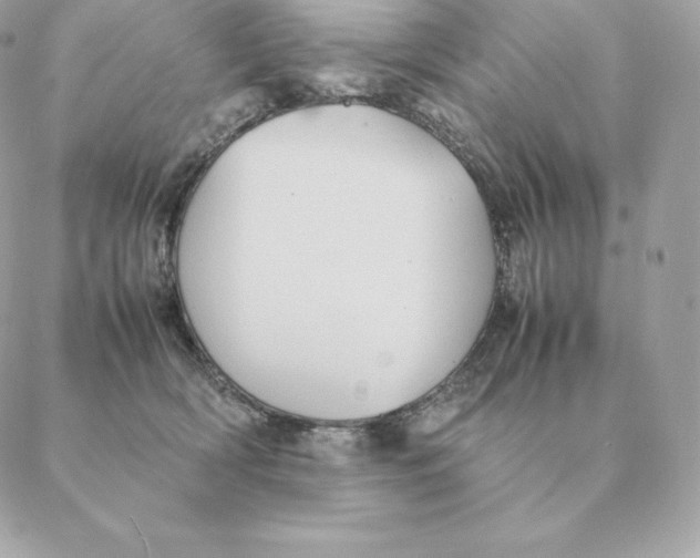 X0000088210418200706051302