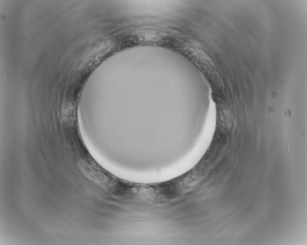 X0000088210419200706051302