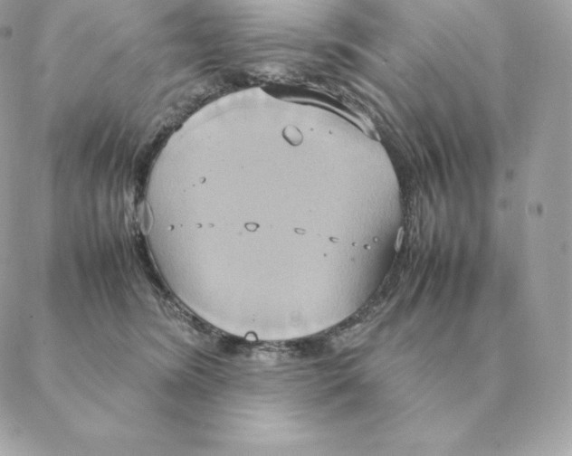 X0000088210420200706051302