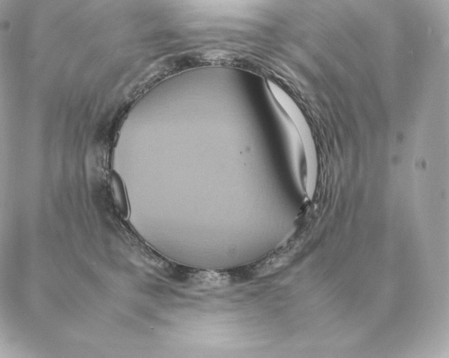 X0000088210421200706051302